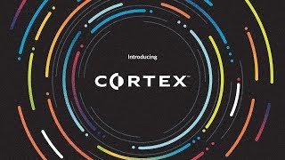 Cortex by Palo Alto Networks [upl. by Mera945]