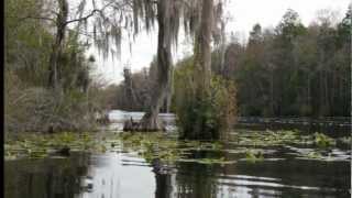 Old Folks at Home ♪ Suwannee River、 故郷の人々（スワニー河）HD1080P [upl. by Appilihp346]