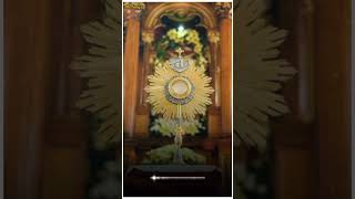 Tuzo Hanv Mog Karta Jezu Konkani Devotional Song  Holy Adoration  Whatsapp Status  Mr Songs [upl. by Melonie]