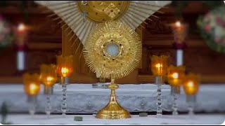 Live  Perpetual Adoration Live  Eucharistic Adoration Live youtube youtubelive live catholic [upl. by Keiryt]