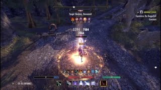 Magicka Sorcerer Dps Test  51k  Self Buffed  Murkmire [upl. by Bringhurst]