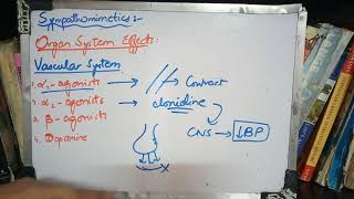 ADRENOCEPTOR AGONISTS all important things in short form part 3 [upl. by Jepson385]