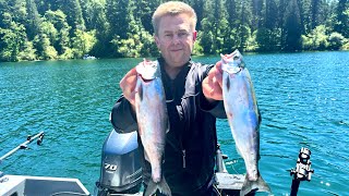 Lake Merwin Kokanee Fishing Catch Clean Cook [upl. by Asylla991]