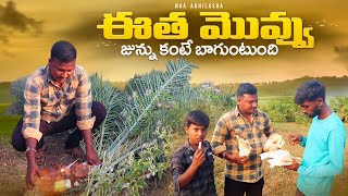 ఈత మొవ్వు జున్ను కంటే బాగుంటుంది👌👌  Eetha Gaddalu  Telugu Daily Vlogs  Naa Abhilasha A to Z [upl. by Lilias133]