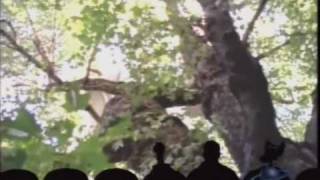 MST3K  Favorite Moments  Time Chasers [upl. by Ettellocin799]