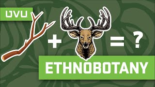 What Is Ethnobotany [upl. by Nomae524]