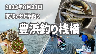 【豊浜釣り桟橋】家族でサビキ釣り♪ [upl. by Ieppet]