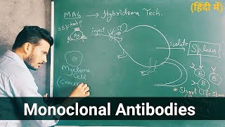 Monoclonal antibodies part 2  Hybridoma Technology [upl. by Valeda]