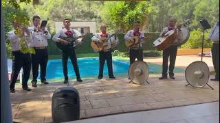 COMO QUIEN PIERDE UNA ESTRELLA  MARIACHIS EN VALENCIA MARIACHI SOL DEL MEDITERRANEO [upl. by Tews645]