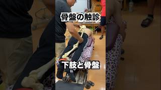 s371 骨盤 触診 下肢 矯正 10k 大腰筋 背筋 体幹 training 伸展力貯金 古谷施術院 ゴルフ 整体 骨盤 猫 ライブ short stretch [upl. by Nueormahc]