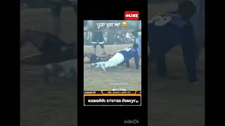 ਪੂਰਾ ਖੁਸ ਆ 😂 kabaddi kabaddilive kabaddilover funny viralshorts duet [upl. by Ashlee]