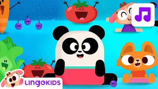 Lingokids ABC FRUITS and VEGGIES 🥭🥬 ABC Song for Kids [upl. by Akimert]