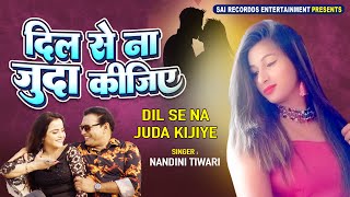 मोहब्बत में कितने ही बेमौत मारे गए है  लैला मजनू  DIL SE NA JUDA KIJIYE  Nandini Tiwari sadsongs [upl. by Cung20]