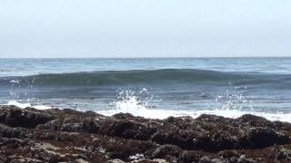 Ocean waves meditation with dolphins long [upl. by Ssirk852]