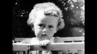 The Lindbergh Baby Kidnapping kidnapping mystery truecrime history Lindbergh [upl. by Haiacim]