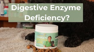 Does Your Dog Have a Digestive Enzyme Deficiency [upl. by Erle]