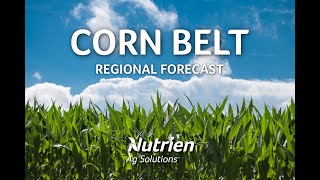 Corn Belt Regional Forecast  June 5th 2020 [upl. by Enidlareg]