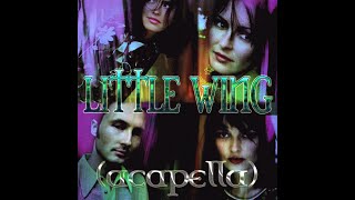 The Corrs  Little Wing Acapella [upl. by Chastity91]