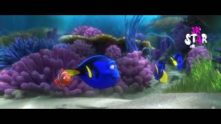 Finding Dory  quotDory with friends quot  Funnyvideo  Ocean scene [upl. by Roban]