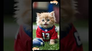 Kitten Dressed as Your Favorite NFL Star—Can You Guess Who 🐱👕 [upl. by Gabriele]