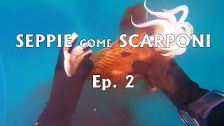 Pesca sub SEPPIE COME SCARPONI  Ep 2 [upl. by Eenafit]