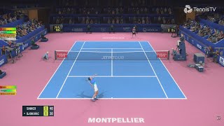 Novak Djokovic VS Jannik Sinner  Montpellier  Tennis Elbow 4  Gameplay [upl. by Olra659]