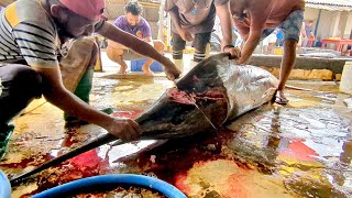 Incredible Blue Marlin Cutting  Skilled Fisherman Handles Giant Catch [upl. by Noir]