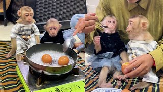 Boil Eggs For Monkey Icy amp Bryan as their snack Increate protein shorts moneky [upl. by Millicent]