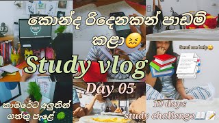 STUDY VLOG📑📚කොන්ද රිදෙනකන් පාඩම් කළා😖කාමරේට අලුත් පැළයක්🌳Study challenge day 05studymotivation [upl. by Hadihahs]