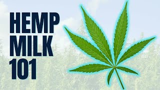 Hemp Milk 101 Pros amp Cons You Need to Know [upl. by Kingsbury]