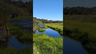 Part 1  Yanchep National Park Top Attractions and Activitieswesternaustralia viralshorts money [upl. by Rednasyl]