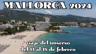 Mallorca 2024 viaje del imserso Alvaro y Lucy [upl. by Bartholomew]