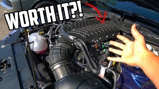 Whipple Supercharged Mustang GT 6 month update [upl. by Assanav]