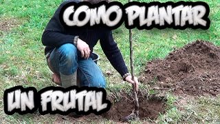 Como Plantar Un Arbol Frutal  Vergel Organico  La Huertina De Toni [upl. by Muryh412]