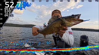 Complete Guide to Fishing Suspended Walleye Lakes Spots Baits Cadence and More [upl. by Kram822]