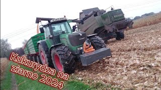 Deszczowe żniwa kukurydzy 🌽 z firmą AgroPower Fendt 5255L [upl. by Necaj887]