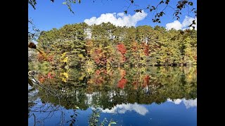 JG8K 福島 裏磐梯五色沼の紅葉 FukushimaUrabandai Goshikinuma in Autumn [upl. by Vtarj]