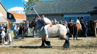 Ringrijden  Ringsteken  Oostkapelle  Zeeland [upl. by Akinahc]