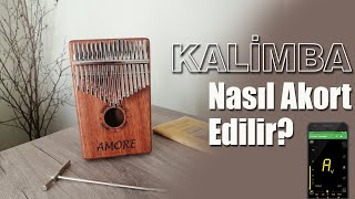 Kalimba Nasıl Akort Edilir  Kalimba Notaları  Kalimba Akort Programı 📲🎶 [upl. by Dnalyar]