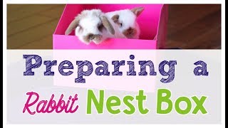 How to Prepare a Rabbit Nest Box [upl. by Anilra]