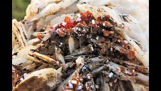 Vanadinite crystals on Baryte blades mineral specimen from Mibladen in Morocco [upl. by Mayda648]