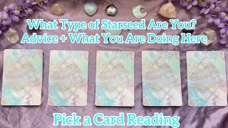 What Type of Starseed Are You Advice  What You Are Doing Here  Pick a Card Reading [upl. by Seravat76]