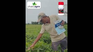 Chalo Agro  Bazuka  Mahaclean [upl. by Firmin]