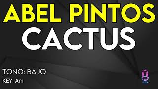 Abel Pintos  Cactus  Karaoke Instrumental  Bajo [upl. by Latsyc425]