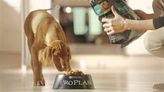 Purina Pro Plan Puppy [upl. by Bernard720]