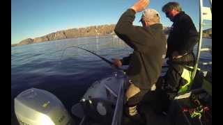 Team Flatfisk kveite 104 kg Halibut fishing [upl. by Atilrak]