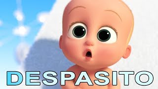 The Boss Baby – Despacito  Best Moments [upl. by Scevor678]