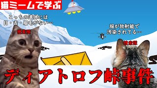 猫ミームで学ぶディアトロフ峠事件 猫マニ 猫ミーム [upl. by Arimas]