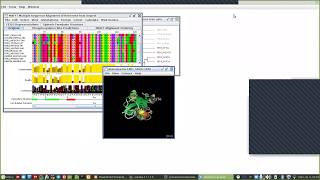 Bioinformatic بالعربي  Jalview software 1 [upl. by Cirde166]