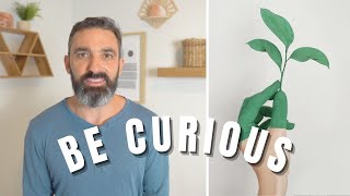 Why Being CURIOUS Brings You Closer To Your TRUE SELF  Internal Family Systems Therapy [upl. by Enaols]